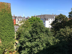 Cosy apartment in vibrant inner Nørrebro. 10 mins walk to the city center and cl Copenhagen, Denmark Cosy and central Nørrebro flat Entire rental unit vacation rental 26563989