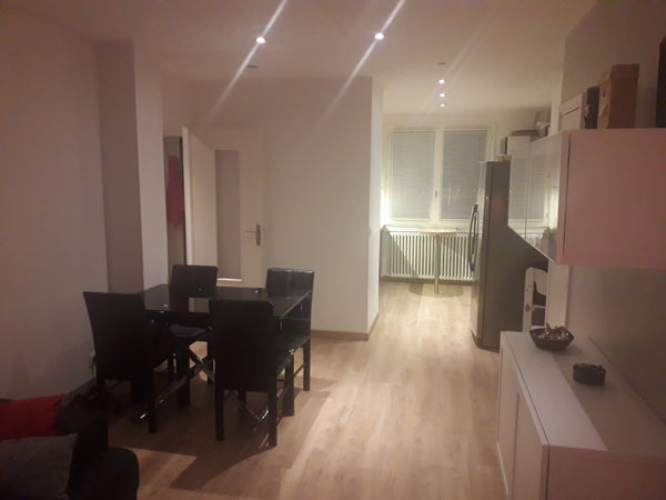 Appartement T3 de 63 m² entièrement rénové en 2016 dans un immeuble datant de 19  T3 Lyon 8 : commerces, transports (Proche Eurexpo) Entire rental unit vacation rental 30558159