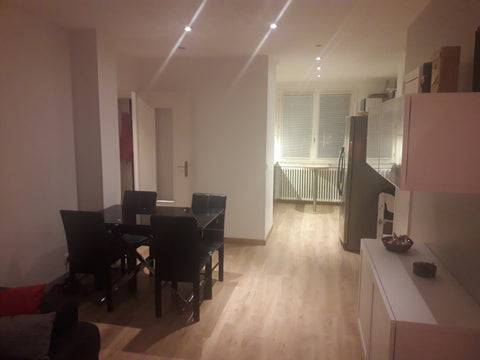 Appartement T3 de 63 m² entièrement rénové en 2016 dans un immeuble datant de 19  T3 Lyon 8 : commerces, transports (Proche Eurexpo) Entire rental unit vacation rental 30558159