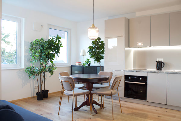 One bedroom apartment in classical style near Danube River, Ernst-Happel stadium Vienna, Austria Top 8 - Classy one bedroom near subway (U2) Entire condo vacation rental 694866231782614515