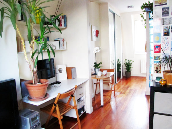 Joli deux pièces situé dans le 15 ème arrondissement de Paris, tout près de Mont Paris, France Cosy flat next to Eiffel Towel Entire rental unit vacation rental 4929326