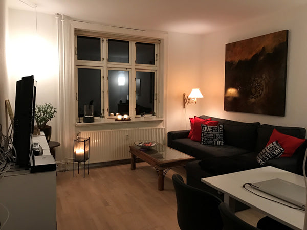 Welcome to my Cozy Apartment in Copenhagen. <br /><br />Enjoy your relaxing or b Copenhagen, Denmark Cosy Apt in Amager With Access to Private Garden Entire rental unit vacation rental 21376997