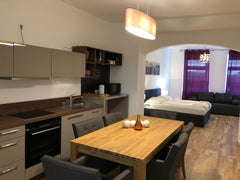 Ein schönes Aaprtment mit Terrasse.<br /><br /><b>The space</b><br />Das Apartme Vienna, Austria Classy Lodging Vienna 17J Entire rental unit vacation rental 30524225