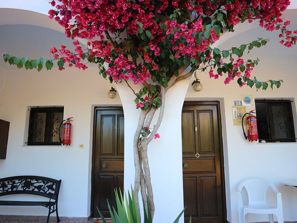 Oliaria is a traditional Cretan house with 6 rooms. Our off the road location al Platanias, Greece Cozy Traditional Apt Oliaria N6 2 mins to beach Entire rental unit vacation rental 13441951