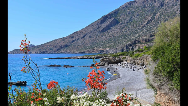 Αυτόνομη μονοκατοικία δίπλα στη θάλασσα. Με 2 υπνοδωμάτια , 2 μπάνια , ενιαίο με  Μονοκατοικία δίπλα στη θάλασσα. Entire cottage vacation rental 610606462701602954