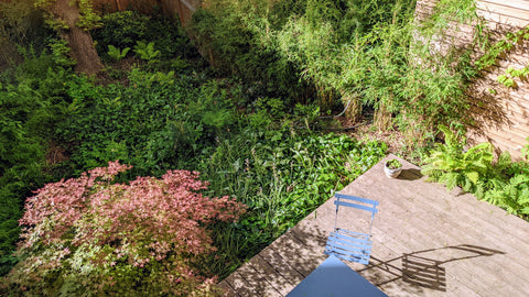 A ROMANTIC APPARTMENT WITH ITS BAMBOO GARDEN<br /><br />Enjoy the space: an apar  THE BIG TEDDY BEAR Entire loft vacation rental 46446077