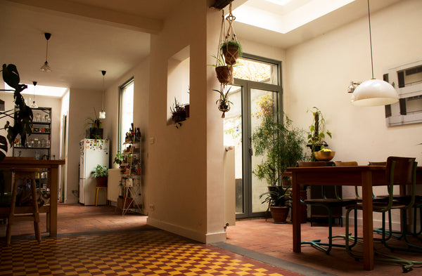 Our house is next to the popular Park Spoor Noord and the beautiful Rivierenhof  Antwerp, Belgium Cosy, big and light house with garage and bicycles Entire townhouse vacation rental 15657753