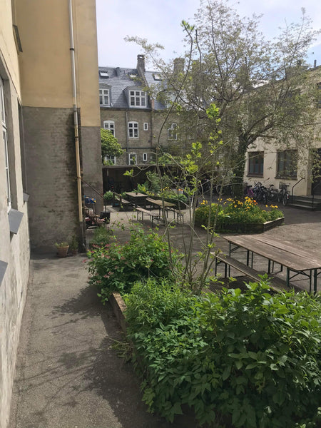 Cozy apartment with access to a pretty yard where you can enjoy a meal, a cup of Copenhagen, Denmark Lovely apartment in Copenhagen Entire rental unit vacation rental 594616644271853861