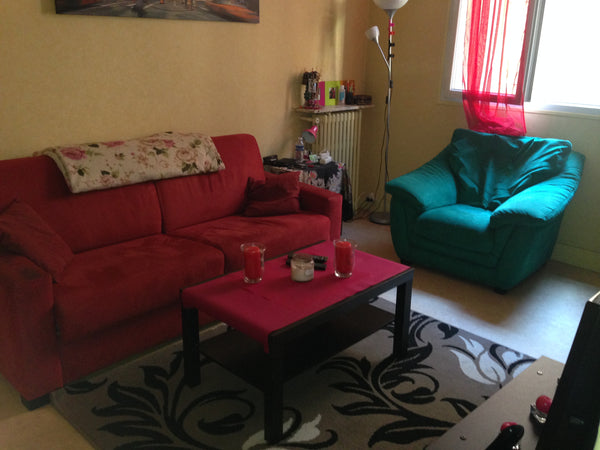 Mon appartement est une véritable merveille: proche de trois lignes de métro, pl Paris, France Petite merveille dans le 11e Entire rental unit vacation rental 6827314