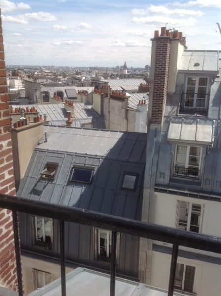 small room, with shower, basin, fridge, microwave and free wifi<br />balcony wit Paris, France charming  room under the roof Entire rental unit vacation rental 6608686
