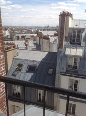 small room, with shower, basin, fridge, microwave and free wifi<br />balcony wit Paris, France charming  room under the roof Entire rental unit vacation rental 6608686