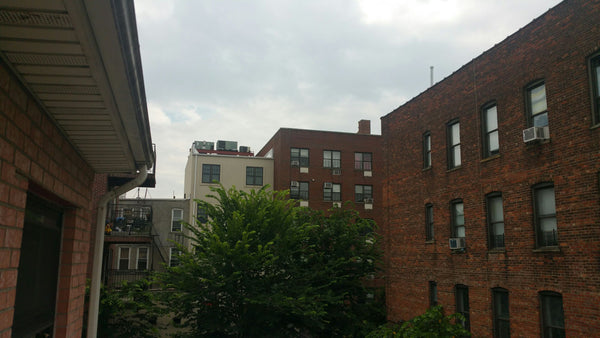 Lots of sunlight,in apartment.<br />In the Heart of Crown Heights<br />Near Broo New York, NY Townhouse in Brooklyn · ★4.60 · 1 bedroom · 5 beds · 1 bath Entire townhouse vacation rental 20073959