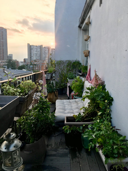 Joli petit studio bien situé au 7eme et dernier étage (avec ascenseur) bénéficia Paris, France Studio belle vue et grand balcon Entire rental unit vacation rental 22467307