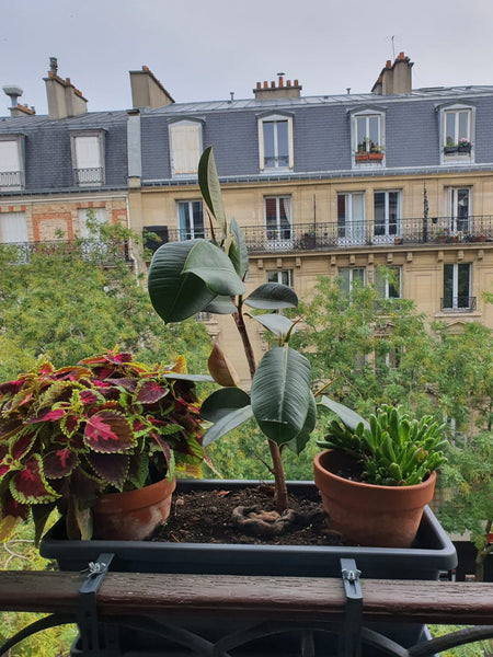 Ce logement unique est proche de tous les sites et commodités, ce qui facilite l Paris, France Appartement à 15 min du centre de Paris Entire rental unit vacation rental 5832734