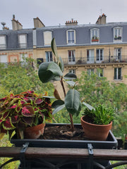Ce logement unique est proche de tous les sites et commodités, ce qui facilite l Paris, France Appartement à 15 min du centre de Paris Entire rental unit vacation rental 5832734