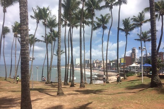 Salvador just for you  Private Tours and Travel Guide America Bahia CITY Salvador da Bahia Destination Tour