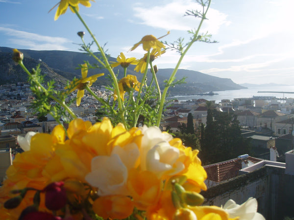 Panoramic sea view and picturesque landscape of capital village. A fully equippe Greece Amazing View Entire rental unit vacation rental 33419870