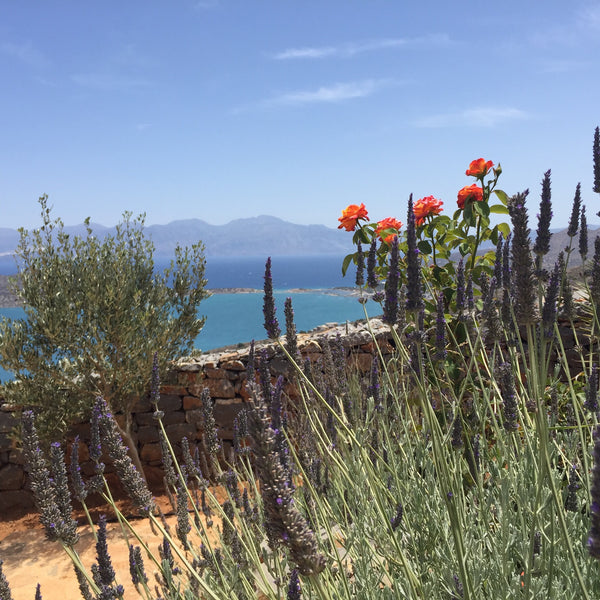 We are renting our 2 dbl bed & 2 bathroom ground floor apartment overlooking Elo Saint Albans, United Kingdom Apartment 2 with views of Elounda Entire rental unit vacation rental 6810409