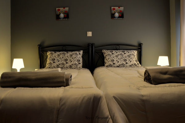 Near Attiki metro station 4 minutes walk, Agios Panteleimonas Church and square, Ano Liosia, Greece Grey Mystery Private room in rental unit vacation rental 20968100