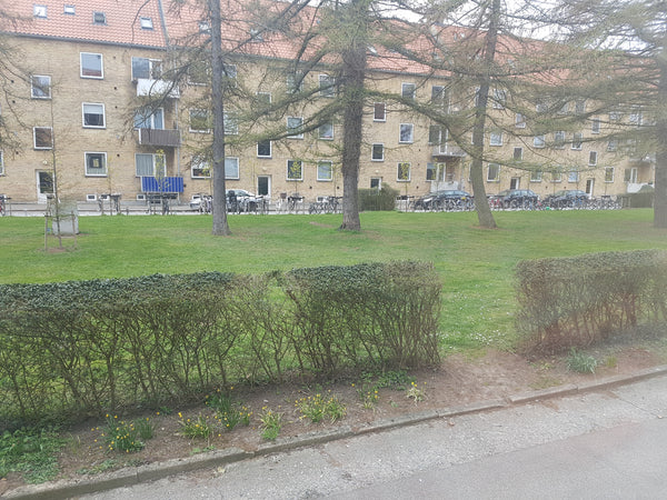 Hyggelig lejlighed. .2v, Tæt på busforbindelser,  strand, lufthavn og rolige omg Vicovu de Sus, Romania en lejlighed tæt på transport , havet, by Entire rental unit vacation rental 13600718