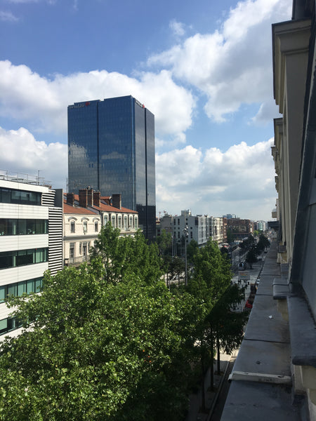 Idéalement situé, à deux pas du centre commercial et de la gare de La Part Dieu, Annonay, France Brotteaux appartement de standing Entire rental unit vacation rental 25200460