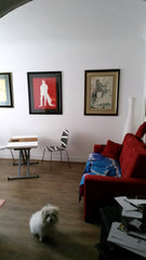 studio situé au rez de chaussée sur rue calme du 15e limite 7 eme a 5 mn des inv  studio entierement equipé Entire rental unit vacation rental 6717889