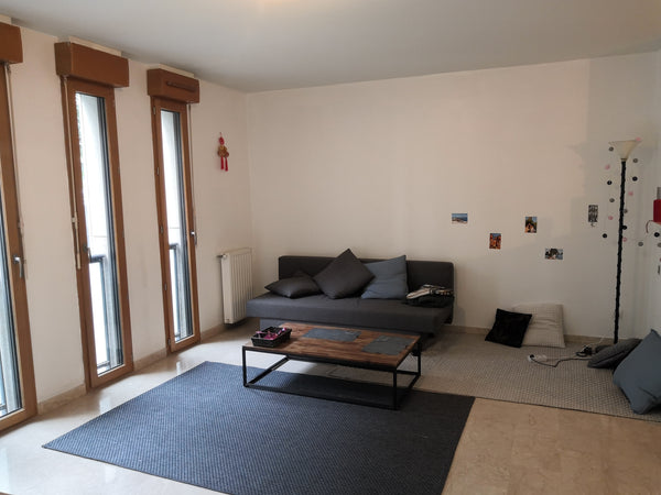 Appartement lumineux de 48m2 situé à 15 mn à pied de la gare Part Dieu, à 5 mn d Lyon, France Appartement lumineux à 15mn à pied de la Part Dieu Entire condo vacation rental 50150851
