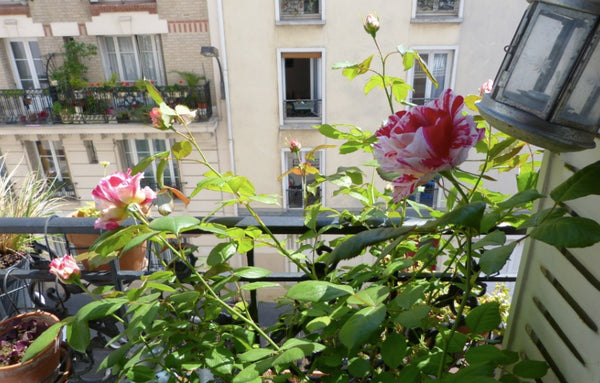 Très joli appartement, 35m2 idéalement situé au coeur du 20e arrondissement, ent Paris, France Charmant 2 pièces Paris 20e Entire rental unit vacation rental 6368868