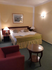 Klasický dvoulůžkový pokoj v hotelu  Double room Hotel Florian Room in hotel vacation rental 36195220