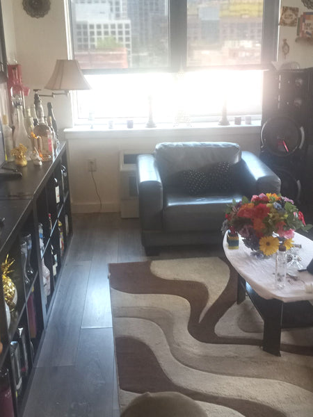 Take a break and unwind at this peaceful oasis.  Condo in Brooklyn · 1 bedroom · 1 bed · 1 bath Entire condo vacation rental 52701221