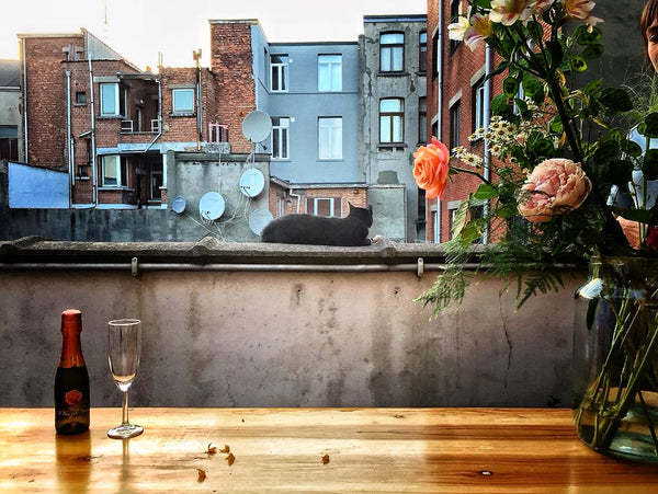 Charming and spacious apartment with sunny terrace in a lively neighborhood, nea Antwerp, Belgium Charming and spacious apartment with sunny terrace Entire rental unit vacation rental 35633180