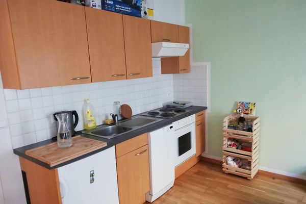 This small but cozy one room flat located in a very nice and central location of Vienna, Austria Dave's nice & cozy Single kingdom Flat Entire rental unit vacation rental 33764536