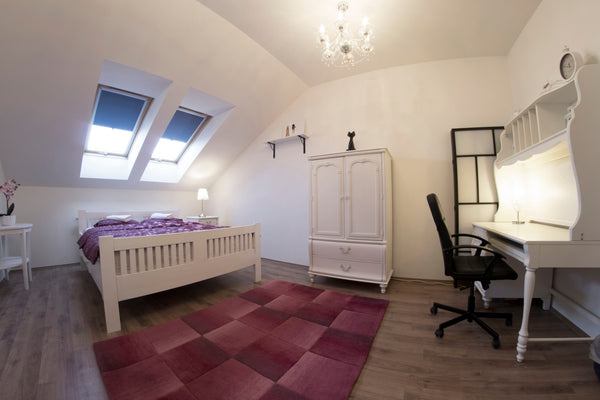 Centrally located walking distance to the Old Town and the rest of the center ce  Newly Renovated 2-Bedroom Karlin Apartment! Entire rental unit vacation rental 608576226099508717