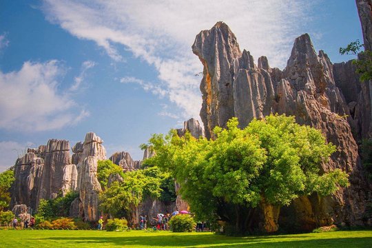 Private Full Day Tour from Kunming: Stone Forest and Golden Temple  Private Tours and Travel Guide Asia Shanghai CITY Kunming Destination Tour