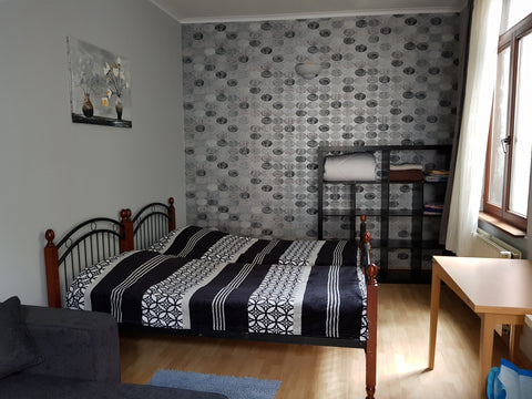 "ENG"  Renovated Small Studio.  1 Double bed and a Corner sofa. Mini American Ki Brussels, Belgium Studio Comfort  1er Etage. Entire rental unit vacation rental 23053317