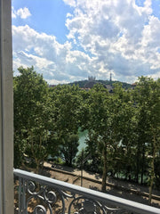Belle chambre dans grand appartement ancien. Vue imprenable sur Lyon et son fleu  Belle chambre idéalement située Private room in rental unit vacation rental 23574988