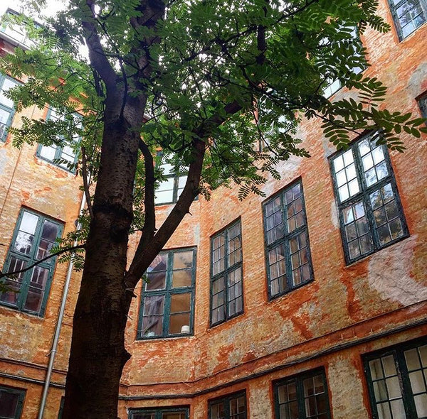 Fine little apartment with a fantastic central location. Perfect safe location i Copenhagen, Denmark Center of Copenhagen Entire rental unit vacation rental 21105752