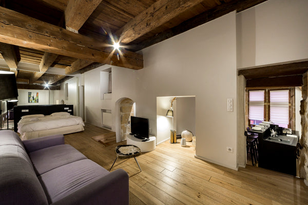 Recently renovated apartment fully equipped for a business trip, a romantic geta  La Suite Miroirs - 46sq m flat in the heart of Entire rental unit vacation rental 44466133