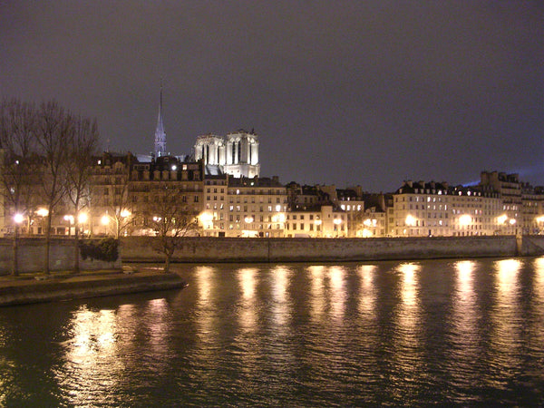 This 3 rooms apartment with the view on the Ile Saint Louis and the Seine river  Paris, France Romantic 60 m2 overlooking the Seine Entire rental unit vacation rental 2625402