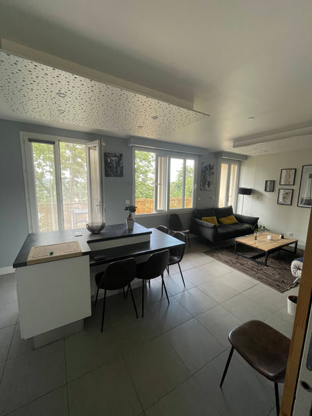 Chaleureux T2 de 61 m2 situé sur le plateau de Saint-Rambert.<br /><br />Tombez  Lyon, France Charmant T2 dernier étage calme proche Ile Barbe Entire rental unit vacation rental 22723641