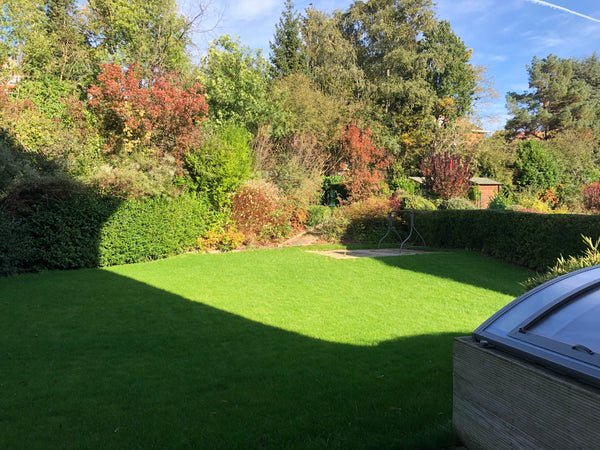 excellent connections to public transport and shopping, yet in a green residenti Brussels, Belgium garden home; nearby shopping and great transport Private room in rental unit vacation rental 39597353