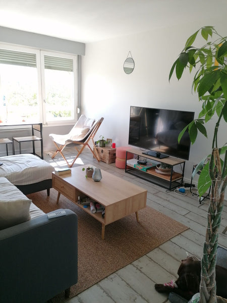 Logement spacieux de 70m carré et ambiance sereine. Vous trouverez tous les équi Lyon, France Lyon sur les quais proche Tête d'or et centre Private room in rental unit vacation rental 706087575905471819