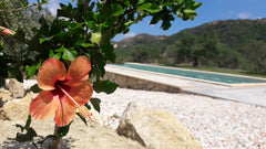 Our styled brand new “houses in nature” are situated in the endless olive groves Kissamos, Greece WeCrete - Houses in Nature, Apartment Entire rental unit vacation rental 20144924