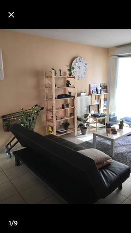 Appartement cosy et lumineux dans un quartier calme de Lyon (3ème arrondissement Lyon, France appartement cosy et lumineux lyon 3 Private room in rental unit vacation rental 24730908