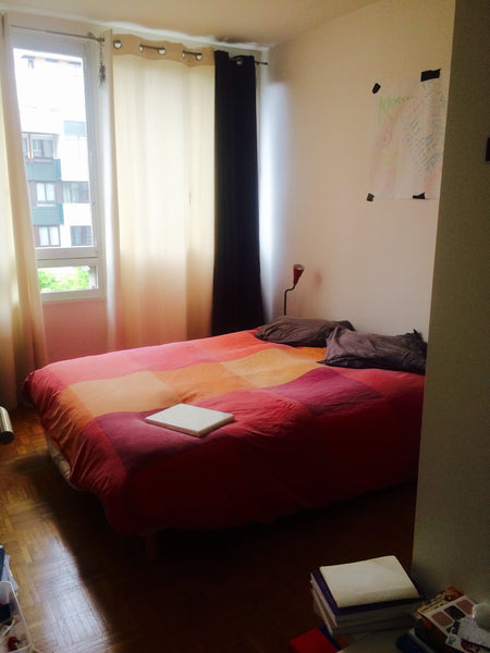 Cosy bedroom, in a sunny flat with two great roomates (but really discreet), for Paris, France Cosy room near Montmartre shared flat Private room in rental unit vacation rental 11040748