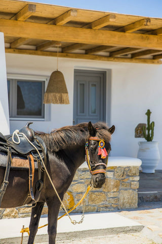 The Farm Junior Villa is newly built and decorated in traditional minimal rythms Greece Farm studio luxury Cycladic home vacation rental 49500205