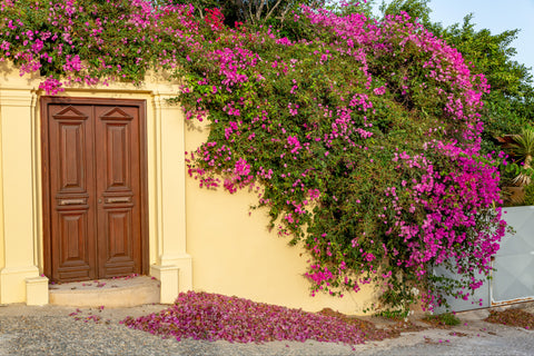 A newly renovated apartment with brown-gold details, featuring a wide array of a United States Theoxenia Kasos Suite with Garden View Entire rental unit vacation rental 31442009