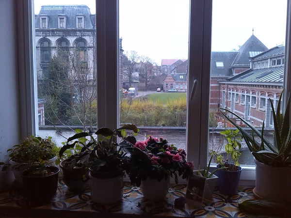 A very typical brussels 3-room apartment (70m2) having a wonderful view over the Brussels, Belgium Charmant Appartement Bruxellois!!! Entire rental unit vacation rental 4827060