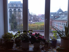 A very typical brussels 3-room apartment (70m2) having a wonderful view over the Brussels, Belgium Charmant Appartement Bruxellois!!! Entire rental unit vacation rental 4827060