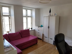 Bright & Cozy Room in Zone 1. The City Center is 1.2 km away. The room is big an  Bright & Cozy Room in Zone 1 Private room in rental unit vacation rental 35032262